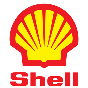 Company Logo 10