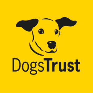 Company Logo 3
